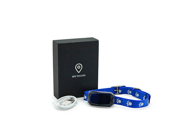 Dog Training Collar With GPS Tracker